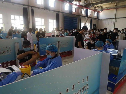 呼和浩特一高校高效完成師生第二劑新冠疫苗接種，后勤服務保障有力